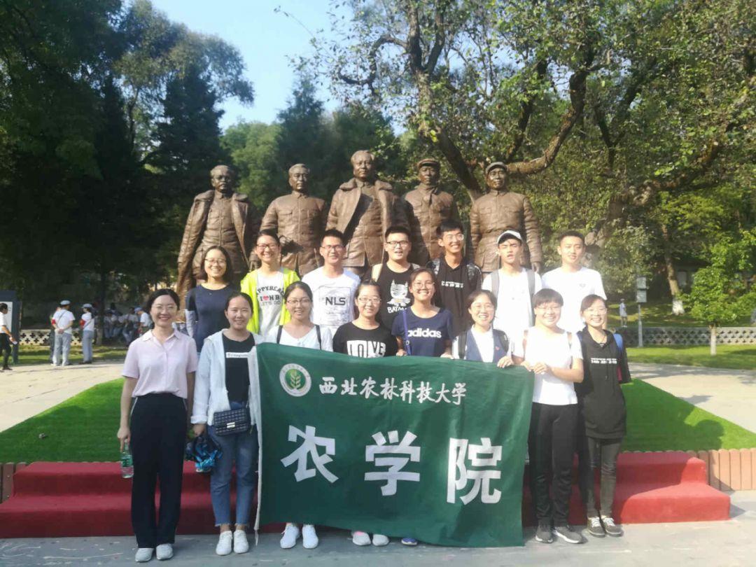 皇冠地下城选关版